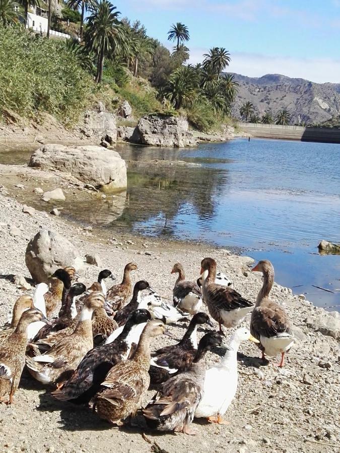 Casa Rural La Presa Vallehermoso Dış mekan fotoğraf